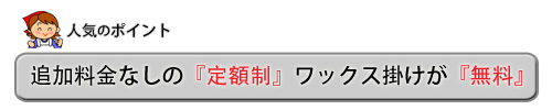 完全定額制