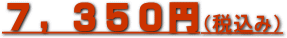 ���ʏ��N���[�j���O��7350�~