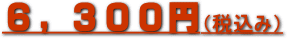�g�C���N���[�j���O��6300�~