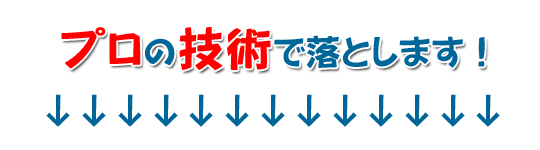 プロの技術で落とします！